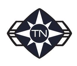 True North logo