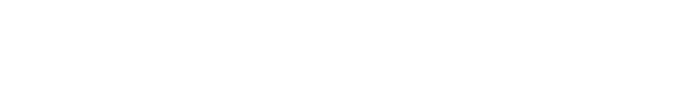 Van De Stadt logo