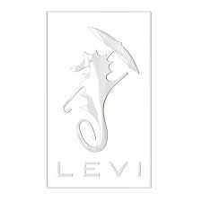 Levi logo