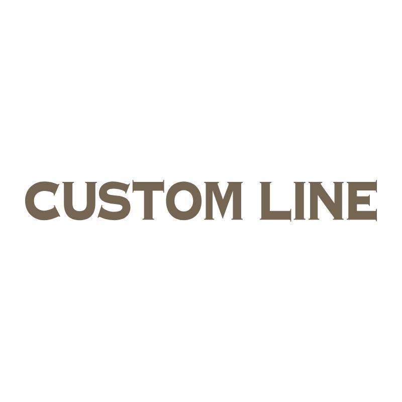 Custom Line logo