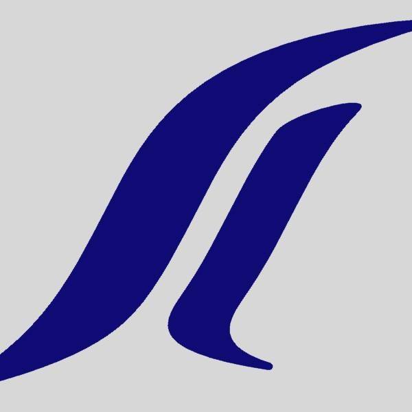 Smartliner logo